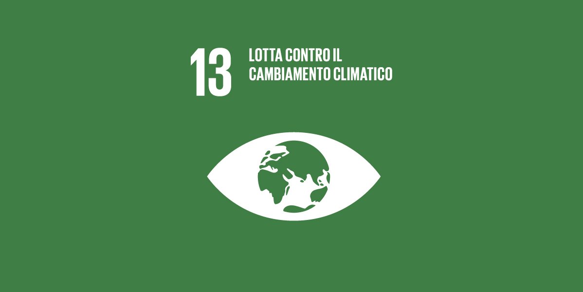 GLOBAL GOALS 13