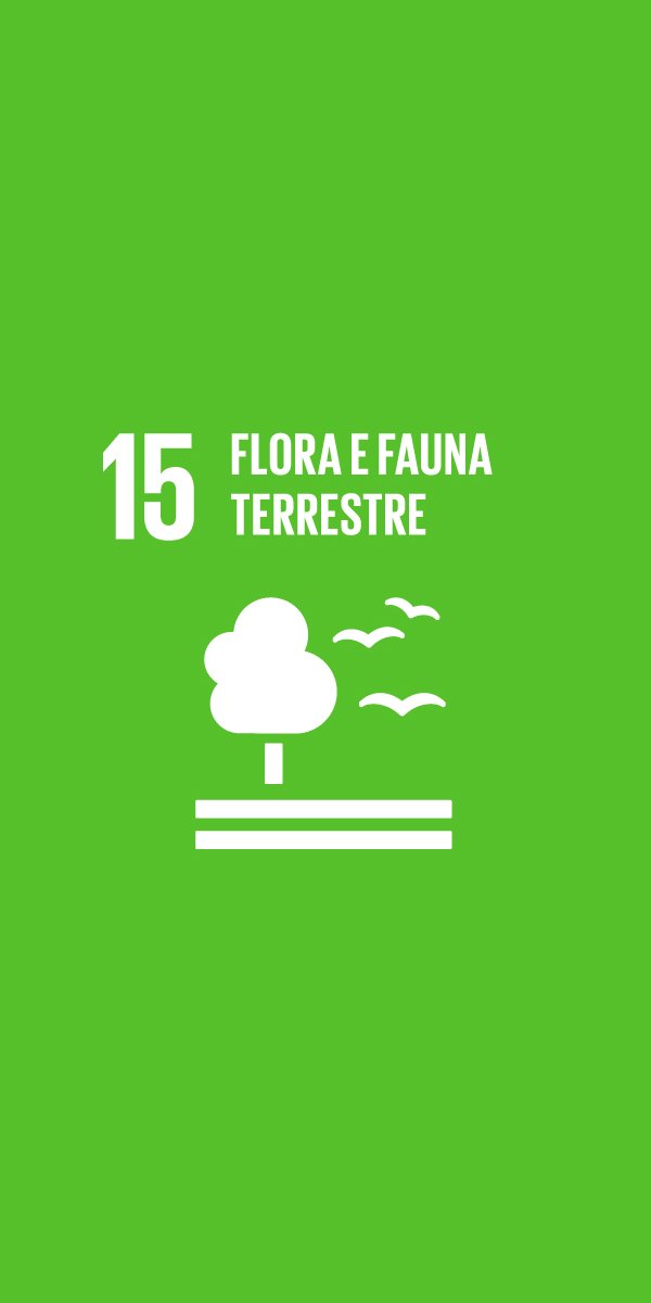 GLOBAL GOALS 15