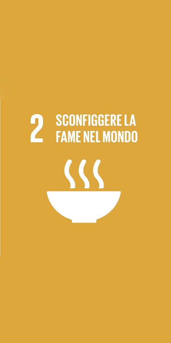 GLOBAL GOALS 2