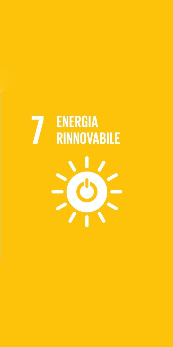GLOBAL GOALS 7