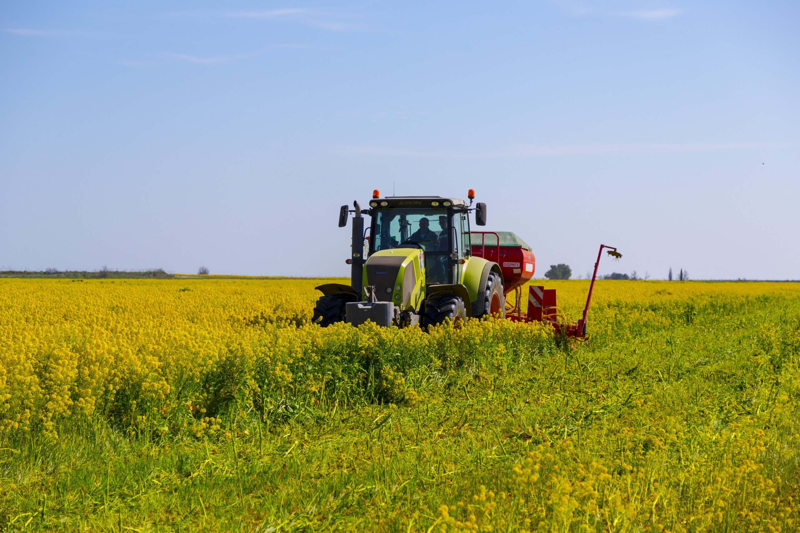 Benefici ambientali e agronomici della semina su sodo (no tillage)