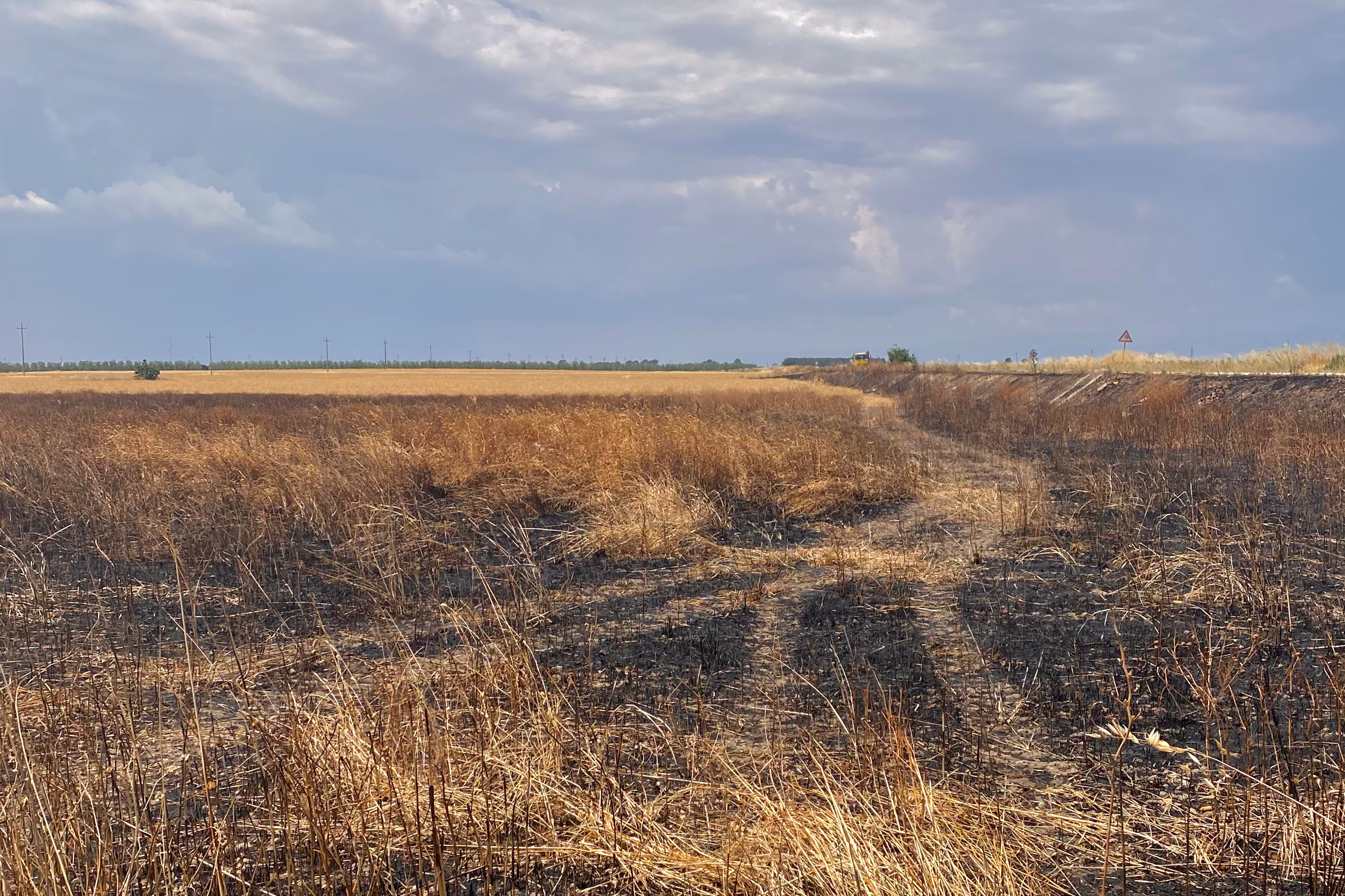 Bruciare il futuro. Anche quest&rsquo;anno continua la nostra guerra contro le fiamme