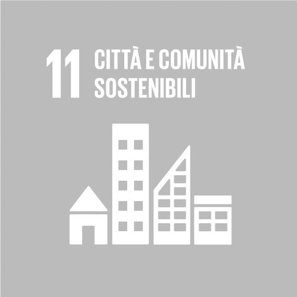 GLOBAL GOALS 11 B