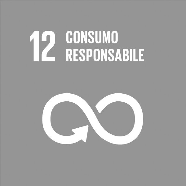 GLOBAL GOALS 12 B