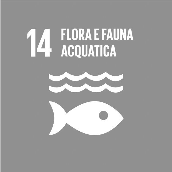 GLOBAL GOALS 14 B
