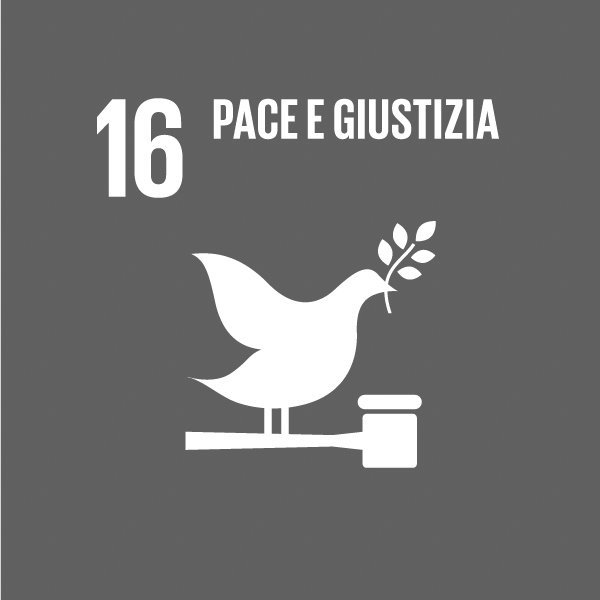 GLOBAL GOALS 16 B