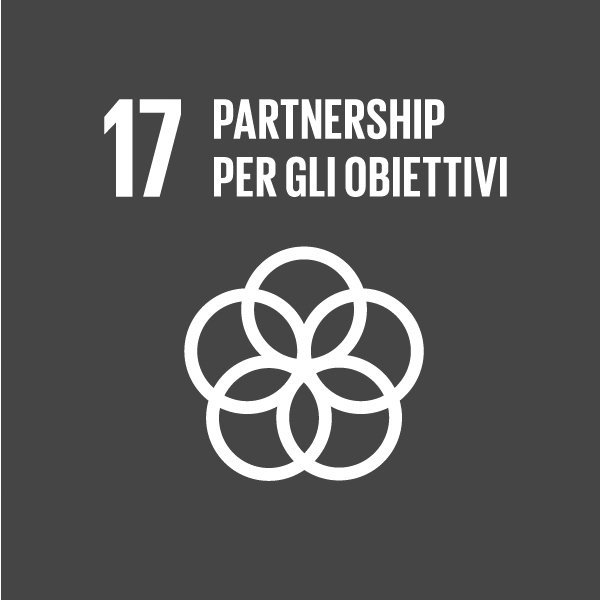 GLOBAL GOALS 17 B