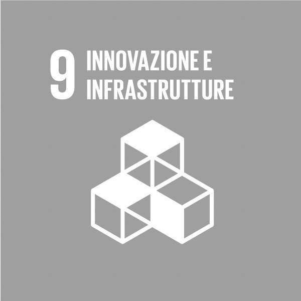 GLOBAL GOALS 9 B