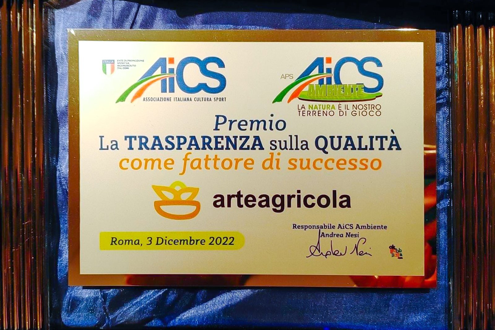 premio AiCS (2) Premio AiCS 2 E1670253595162