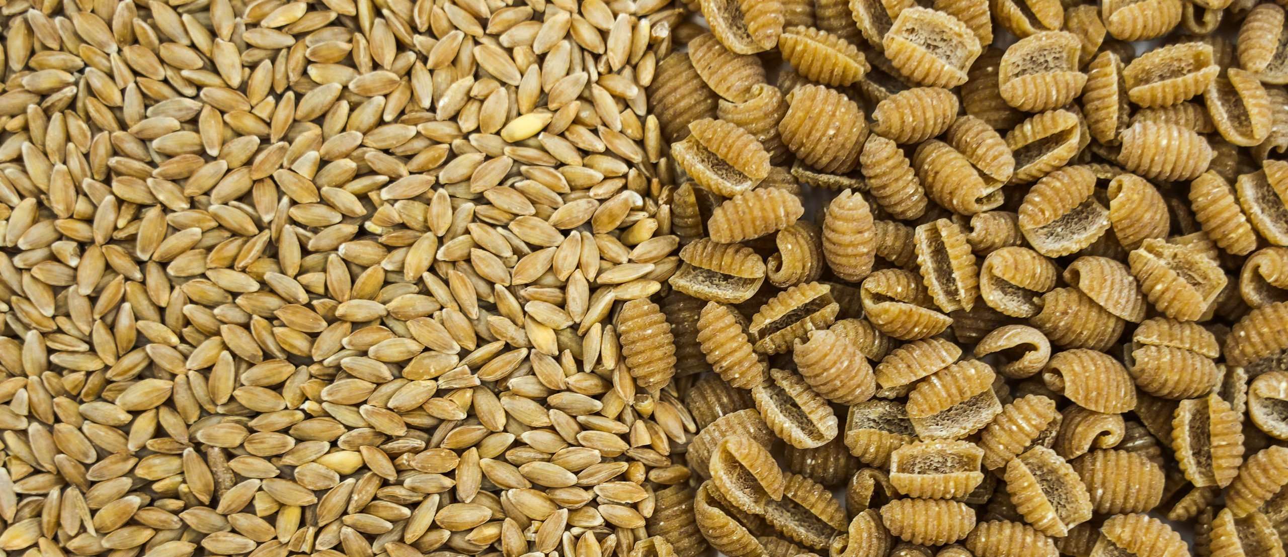 Gnocchetti Senatore Cappelli - Arteagricola pasta bio artigianale