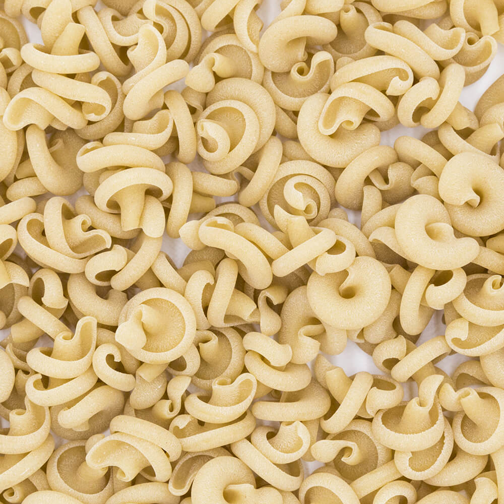 Capricci al farro Senatore Cappelli - Arteagricola pasta bio artigianale