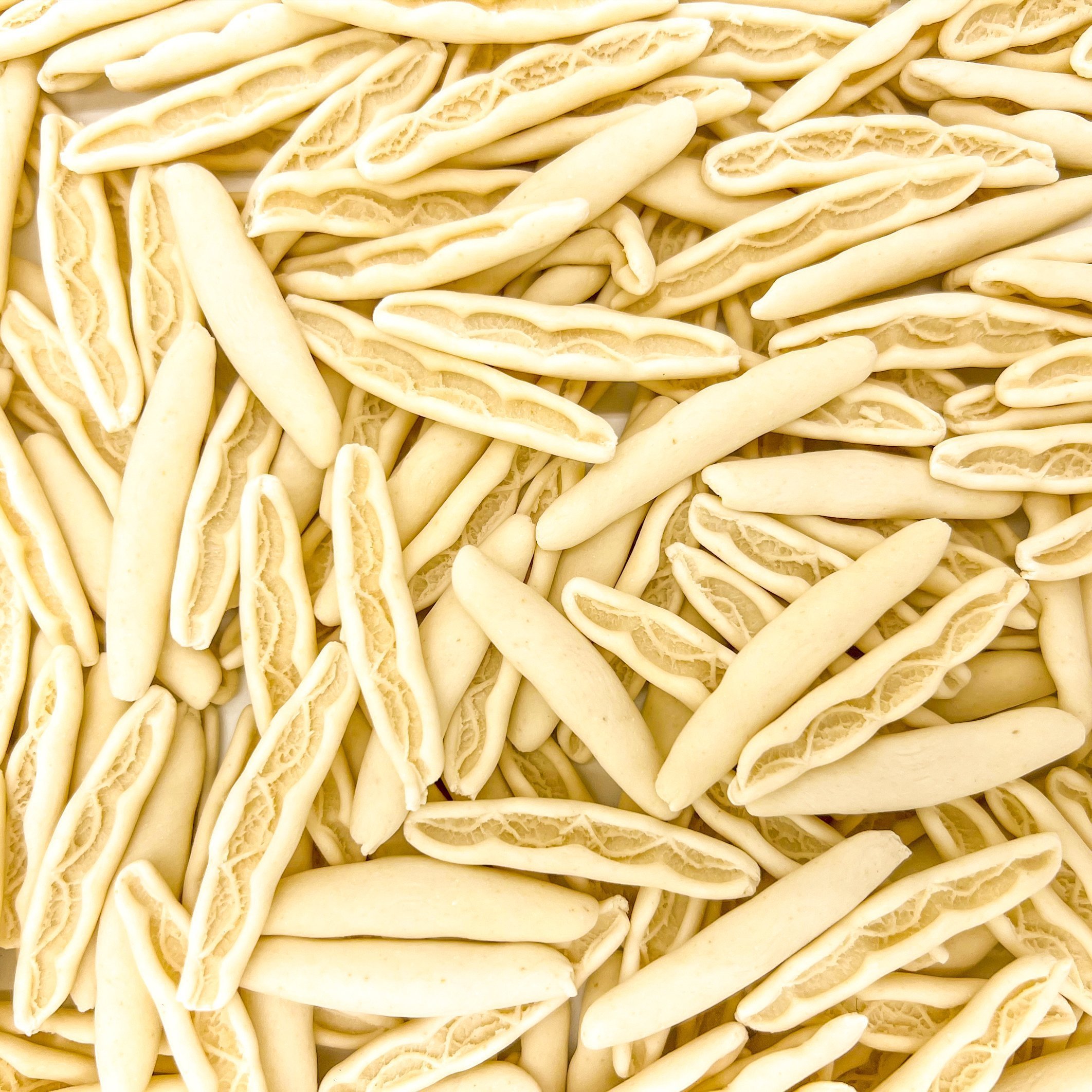 Cicatelli Senatore Cappelli pasta bio artigianale Arteagricola