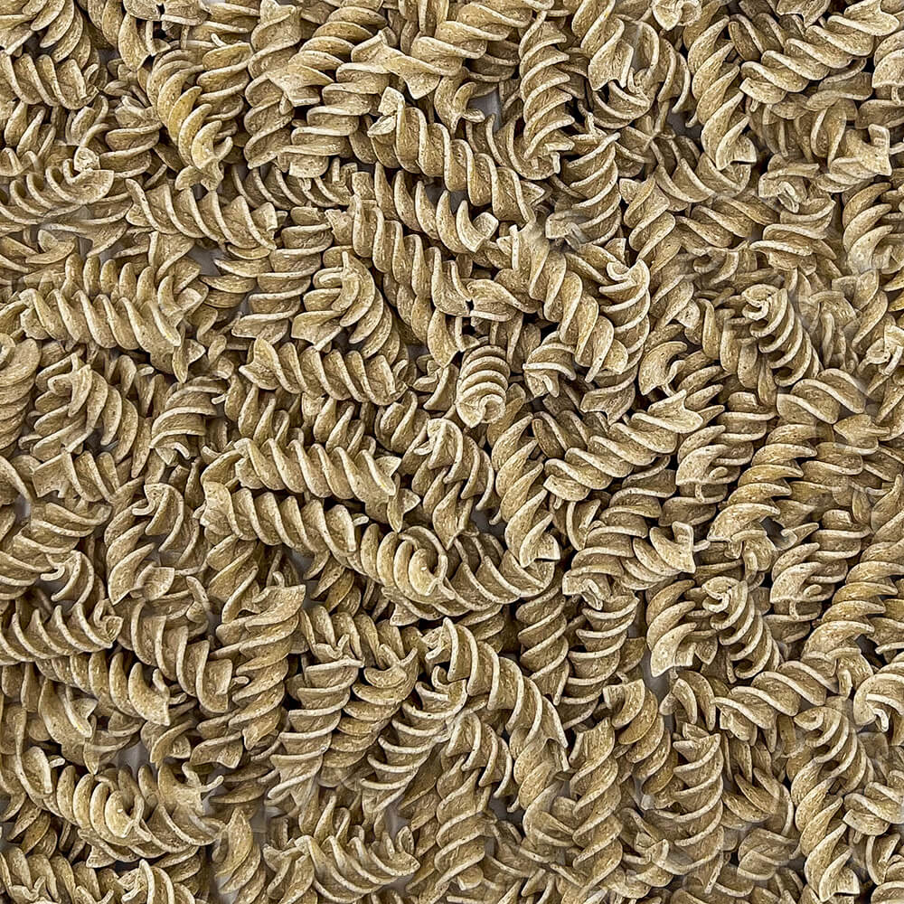 Fusilli Senatore Cappelli dettaglio - Arteagricola pasta bio artigianale