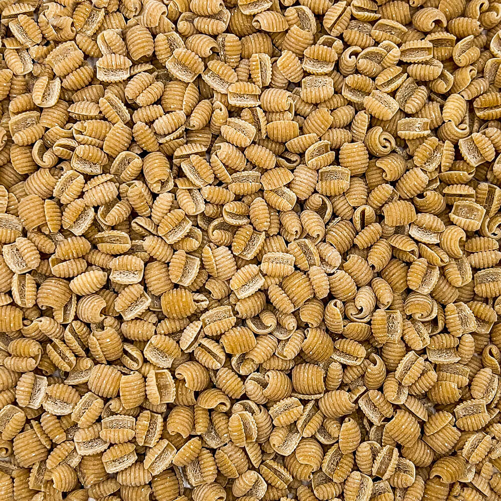 Gnocchetti Senatore Cappelli dettaglio - Arteagricola pasta bio artigianale