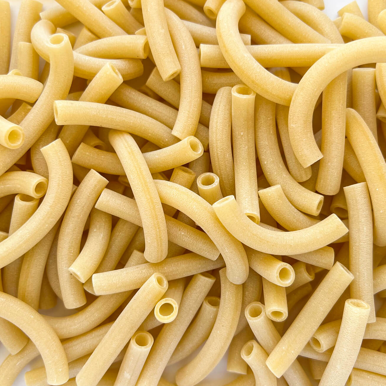 Mezzi Ziti Senatore Cappelli dettaglio - Arteagricola pasta bio artigianale